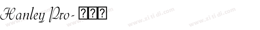 Hanley Pro字体转换